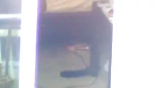 Pats seksa bezmaksas video ragazzo puisis izgrieztu meitene matains incītis